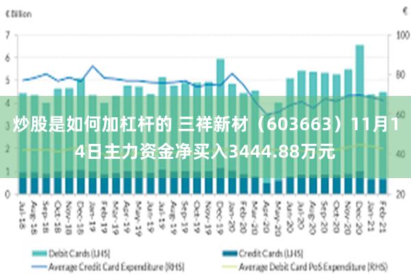 炒股是如何加杠杆的 三祥新材（603663）11月14日主力资金净买入3444.88万元
