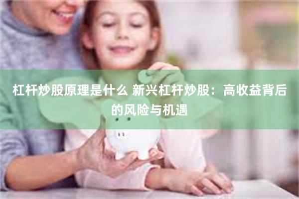 杠杆炒股原理是什么 新兴杠杆炒股：高收益背后的风险与机遇