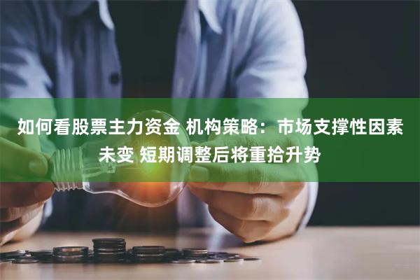 如何看股票主力资金 机构策略：市场支撑性因素未变 短期调整后将重拾升势