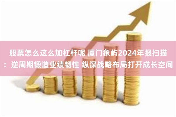 股票怎么这么加杠杆呢 厦门象屿2024年报扫描：逆周期锻造业绩韧性 纵深战略布局打开成长空间