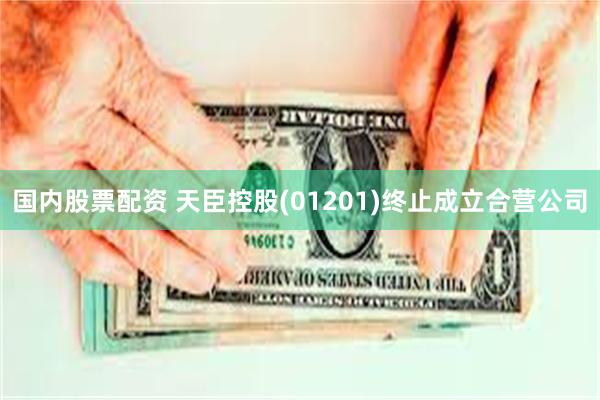 国内股票配资 天臣控股(01201)终止成立合营公司