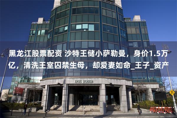 黑龙江股票配资 沙特王储小萨勒曼，身价1.5万亿，清洗王室囚禁生母，却爱妻如命_王子_资产