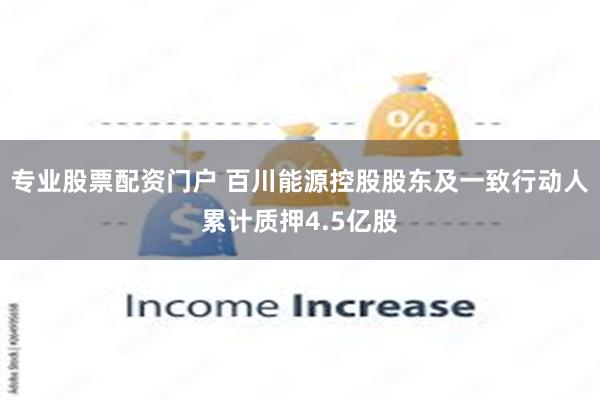 专业股票配资门户 百川能源控股股东及一致行动人累计质押4.5亿股